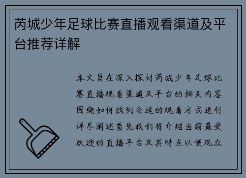 芮城少年足球比赛直播观看渠道及平台推荐详解